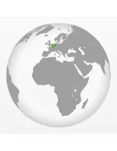 Growkit Golden Teacher 2