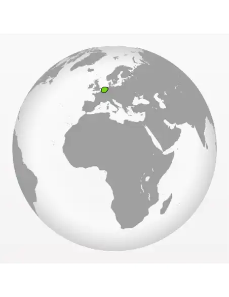 Growkit Golden Teacher Growkit Golden Teacher