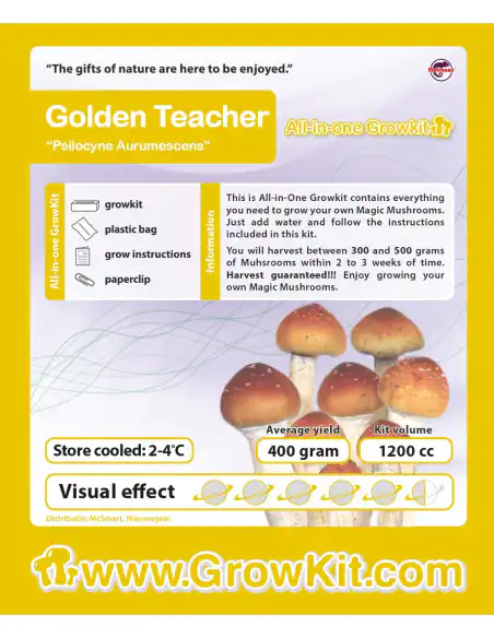 Growkit Golden Teacher Growkit Golden Teacher
