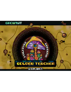 Growkit Golden Teacher 2