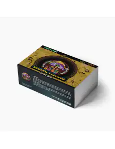 Growkit Golden Teacher