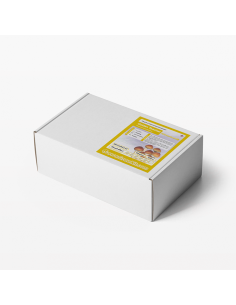 Growkit Golden Teacher